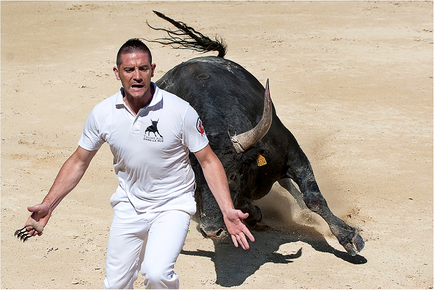 Club Photo MJC Pibrac