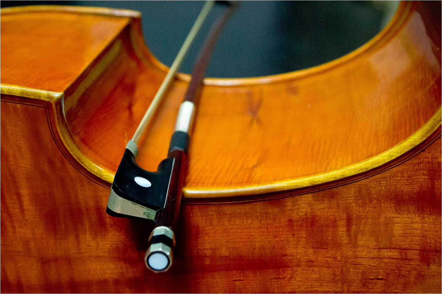 Club Photo MJC Pibrac