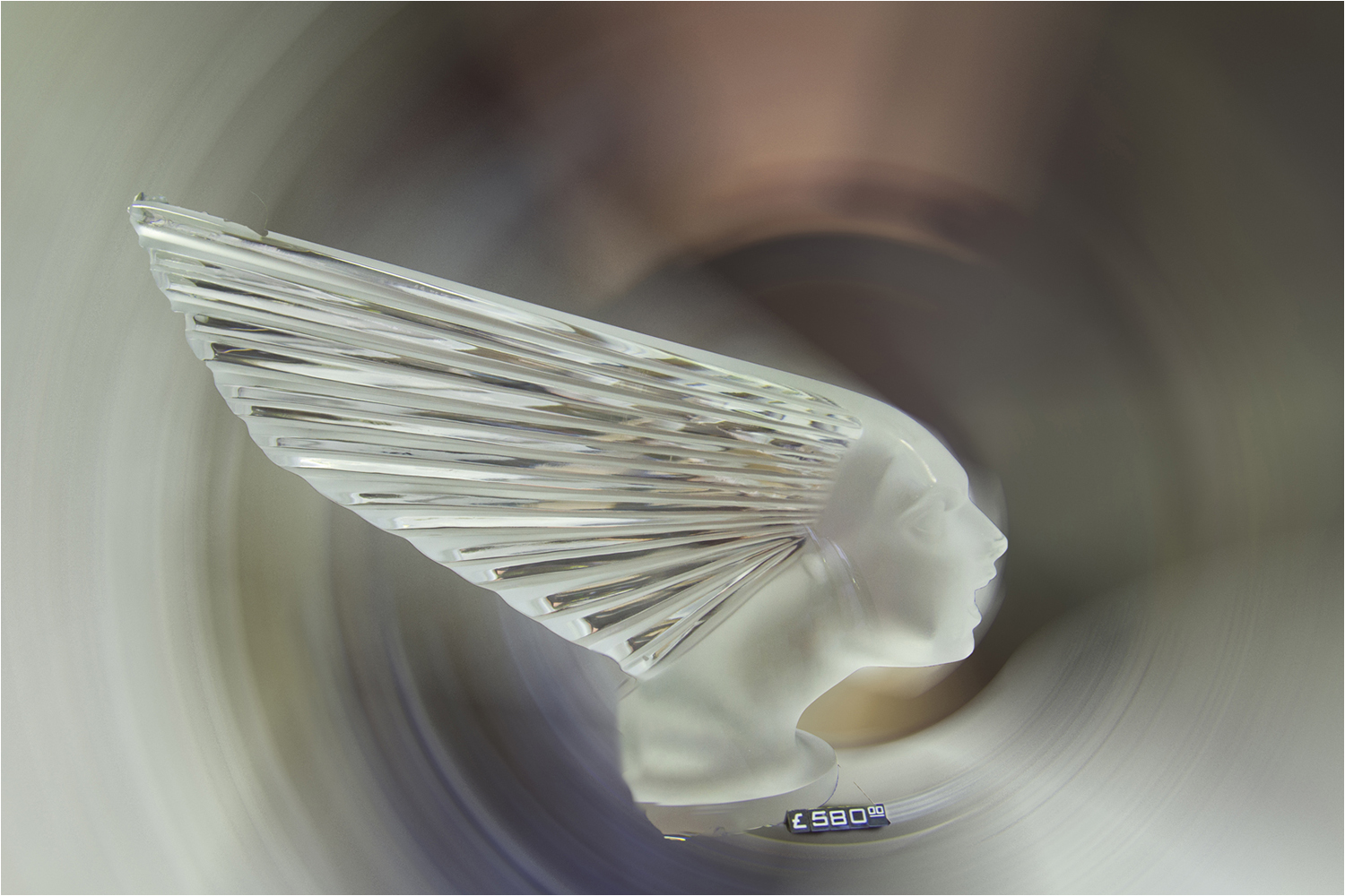 Club Photo MJC Pibrac