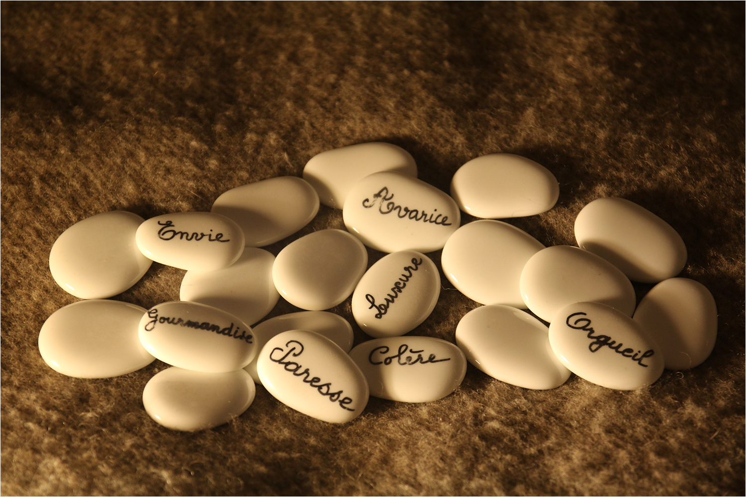 Club Photo MJC Pibrac