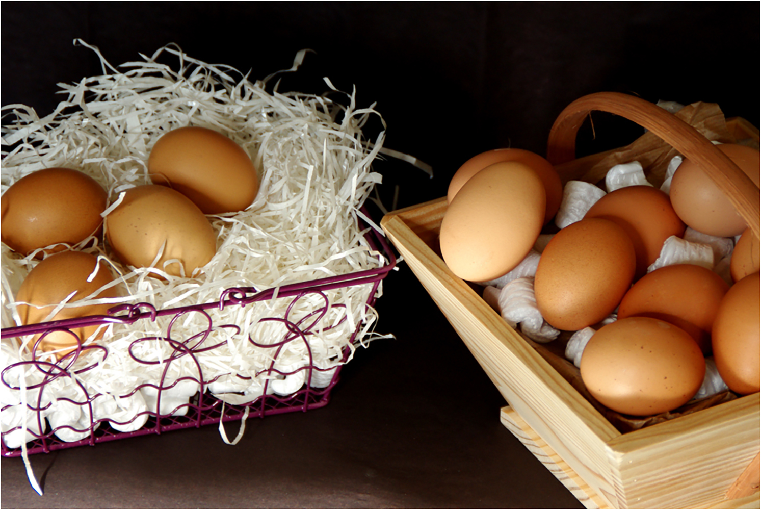 Club Photo MJC Pibrac