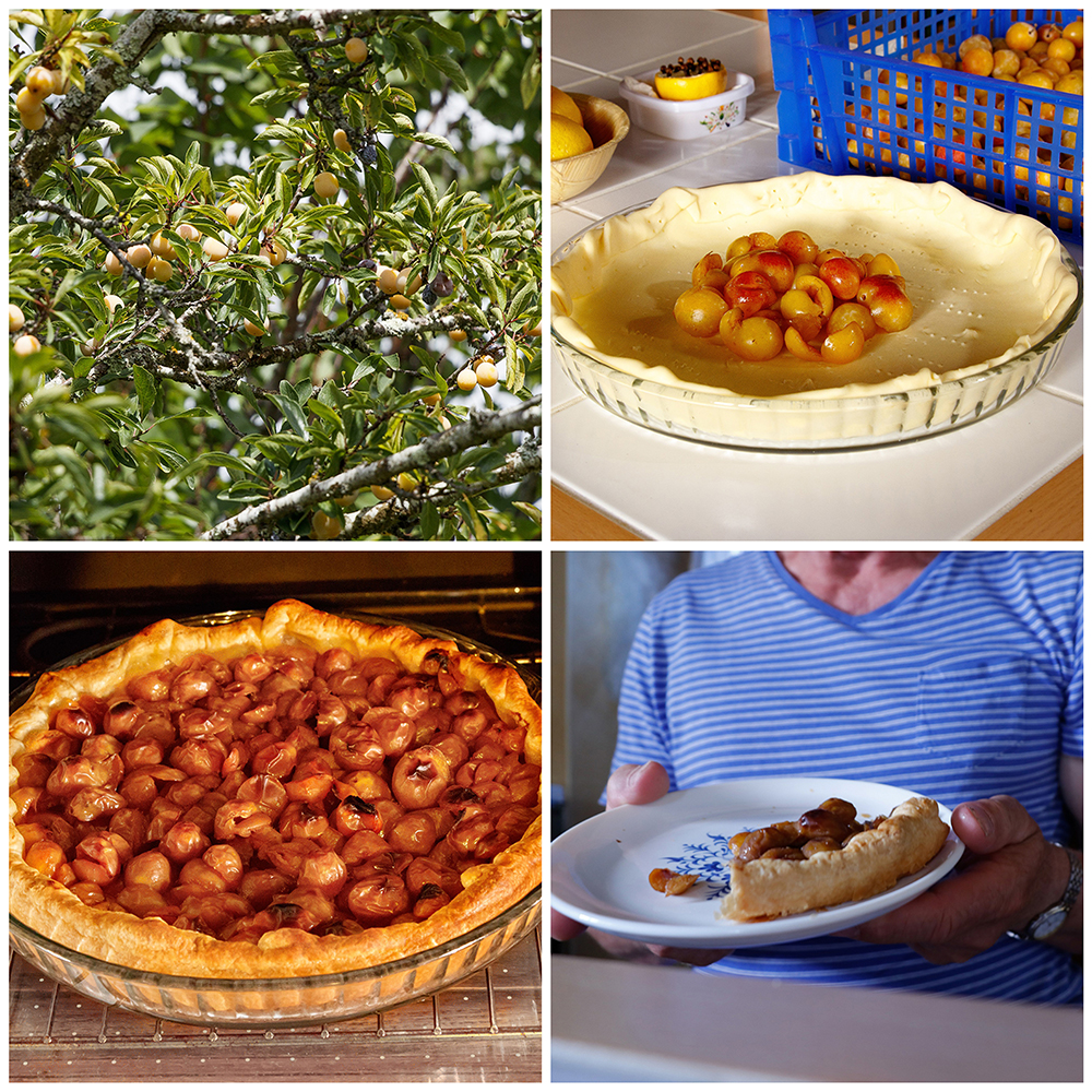 Club Photo MJC Pibrac