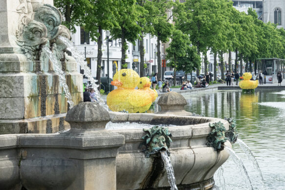 Téléphone Arabe Photographique (2025)