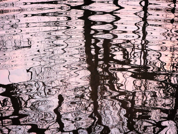 Le Téléphone arabe photographique