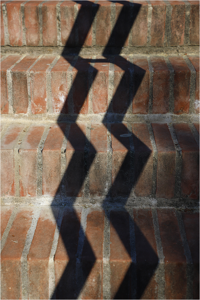 Club Photo MJC Pibrac