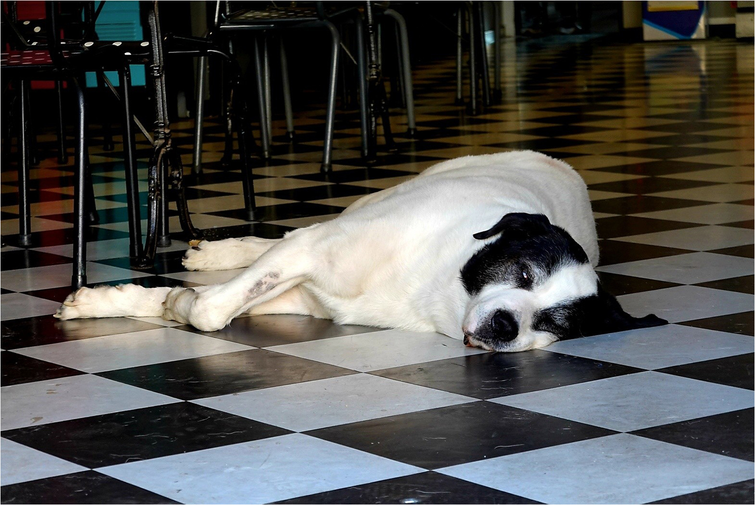 Club Photo MJC Pibrac