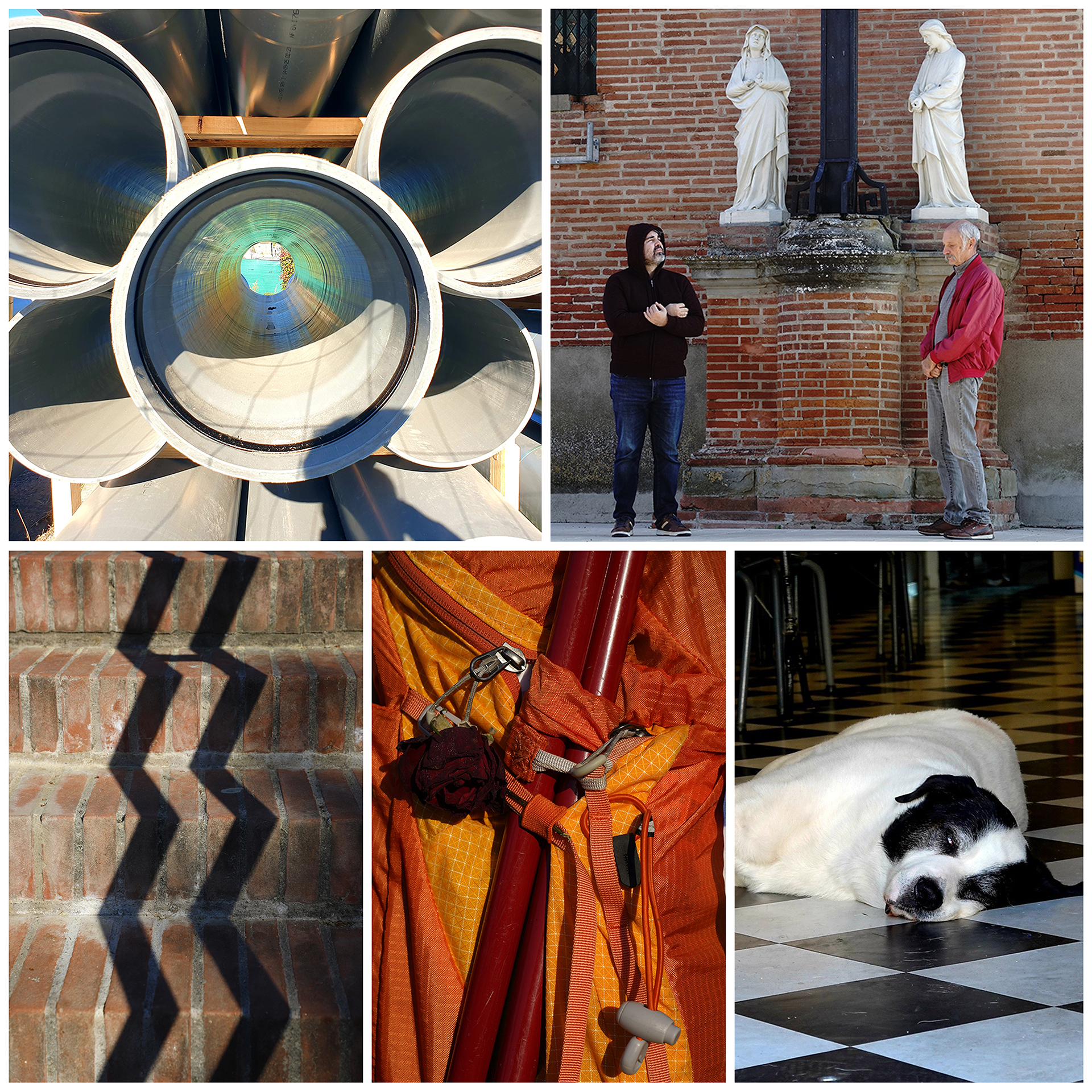 Club Photo MJC Pibrac