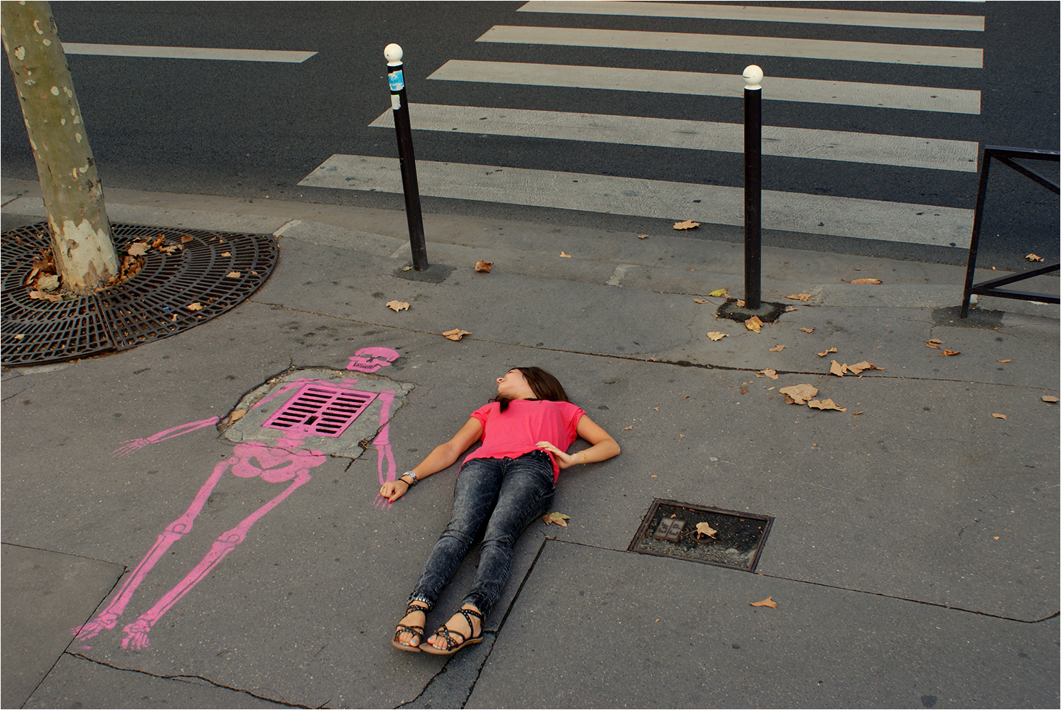 Club Photo MJC Pibrac