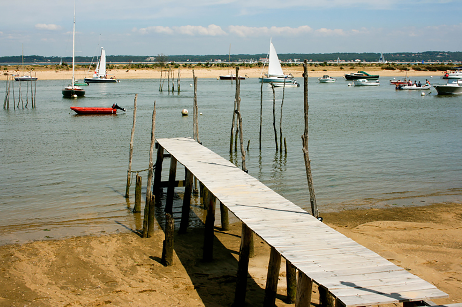 Club Photo MJC Pibrac