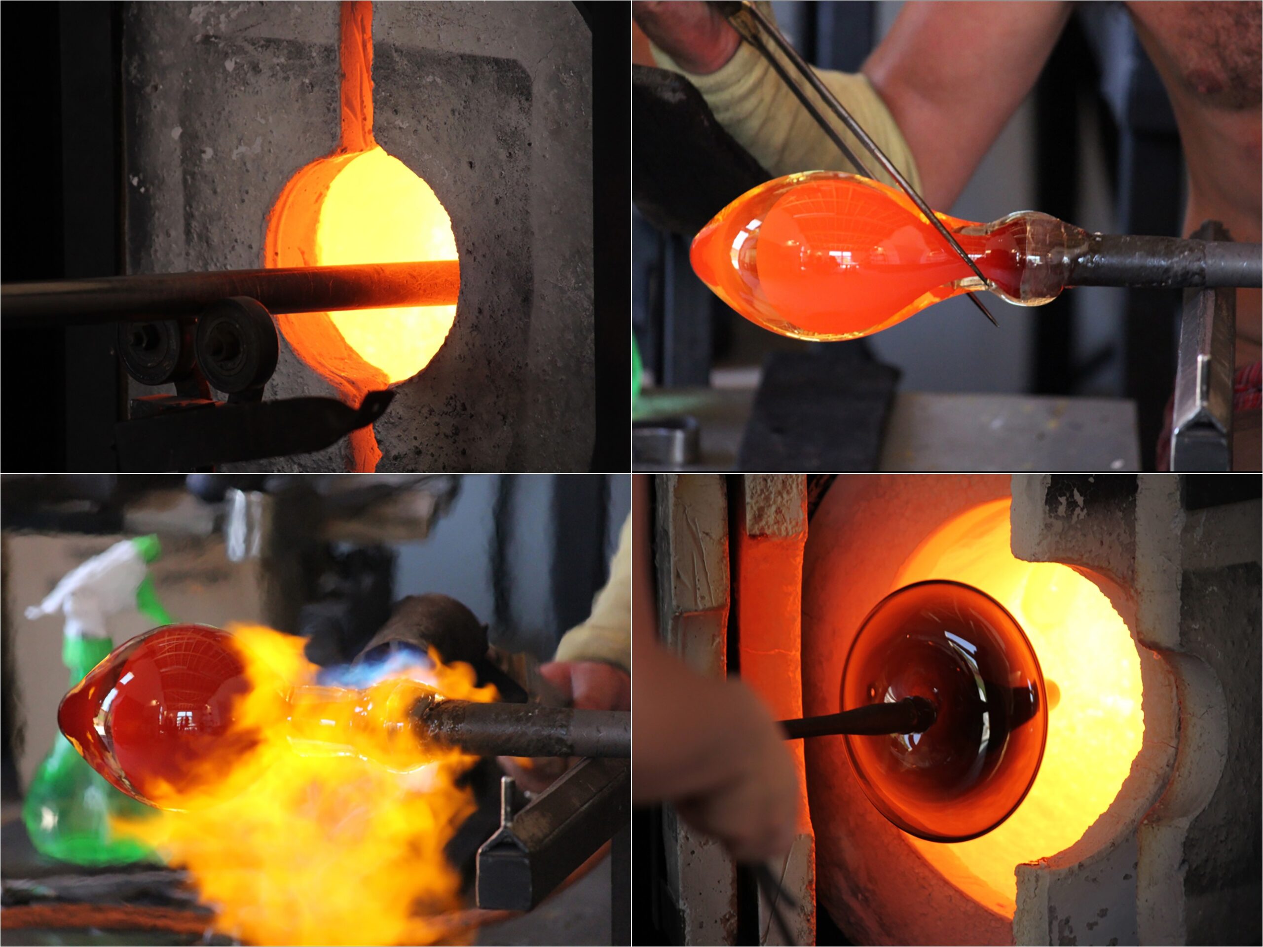 Club Photo MJC Pibrac