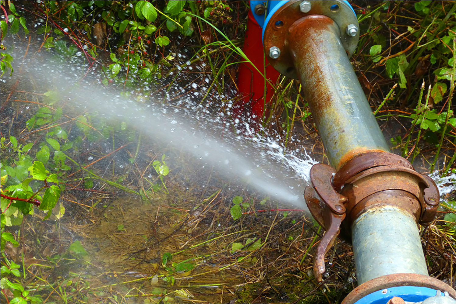 Club Photo MJC Pibrac