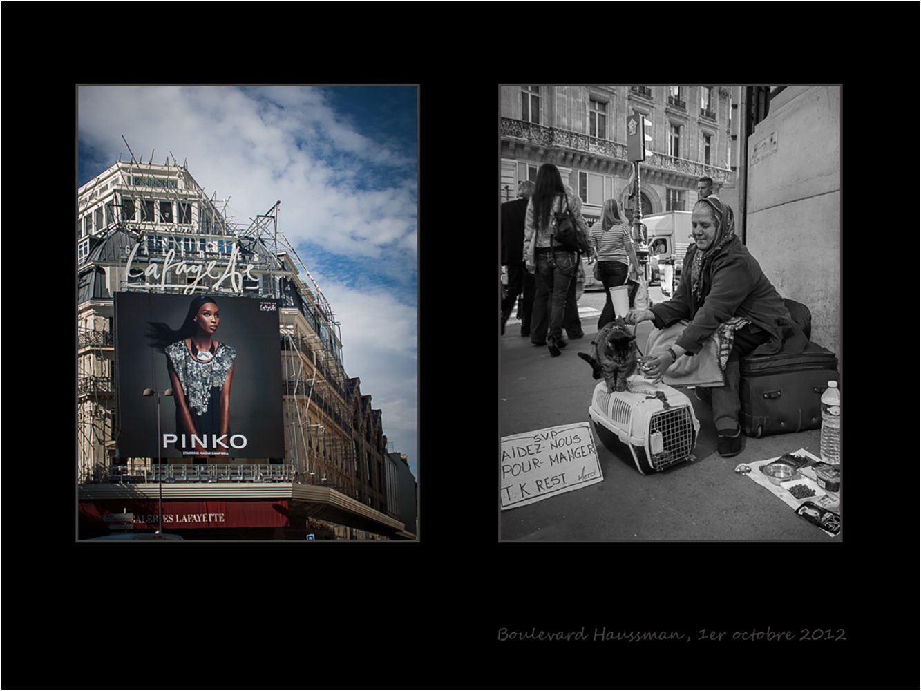 Club Photo MJC Pibrac