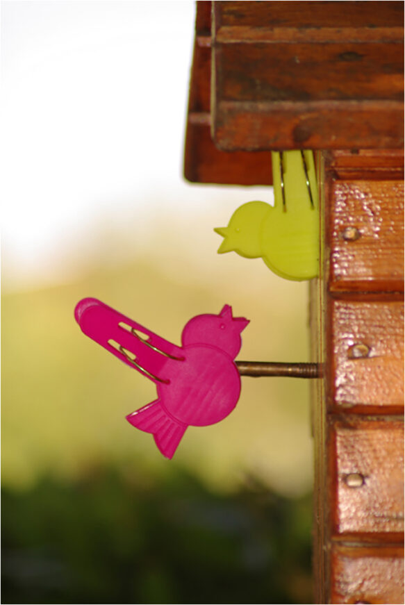 J&rsquo;en pince pour toi !