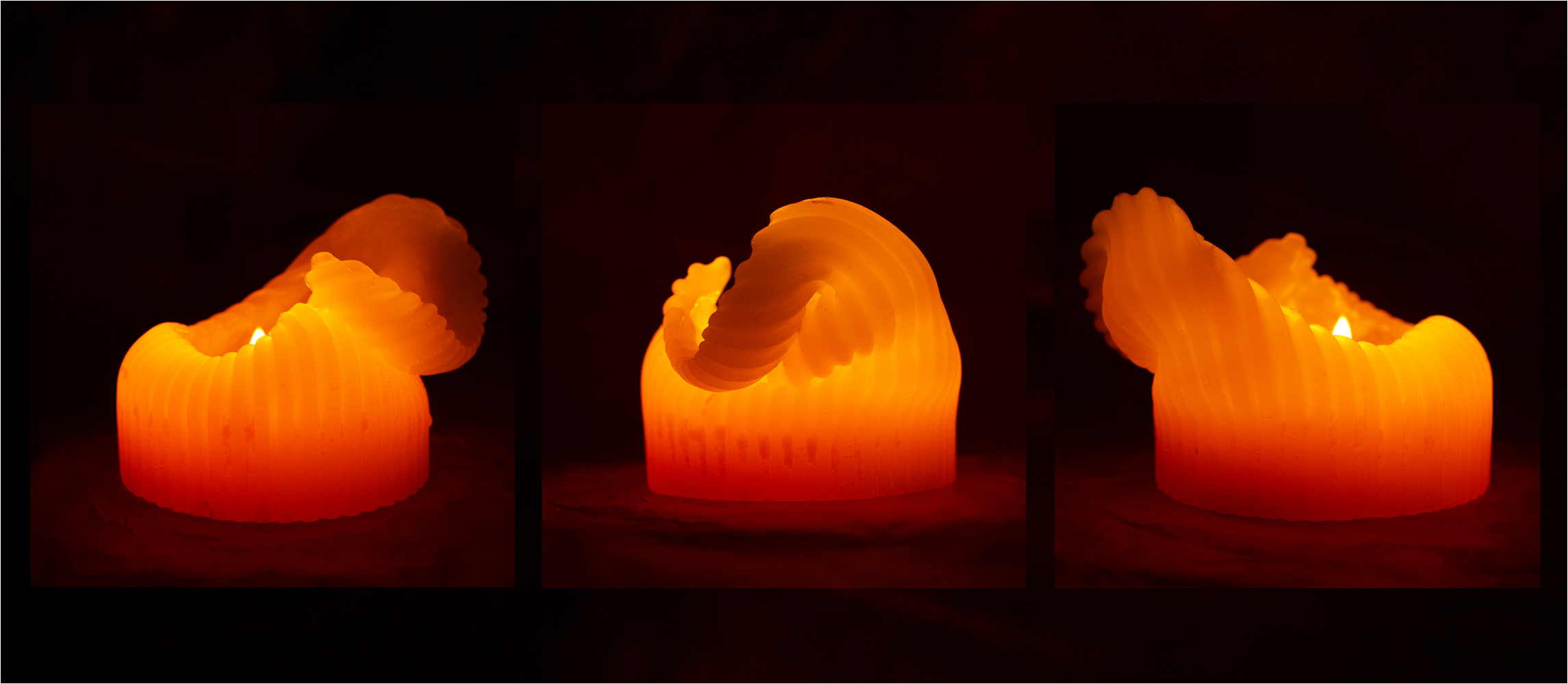 Club Photo MJC Pibrac