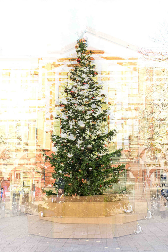 2425 Avent Sapin 1
