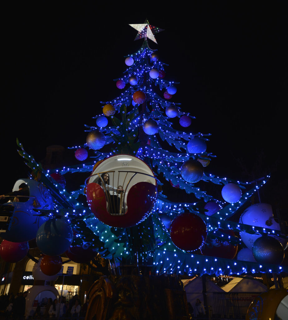 2425 Avent Sapin 3