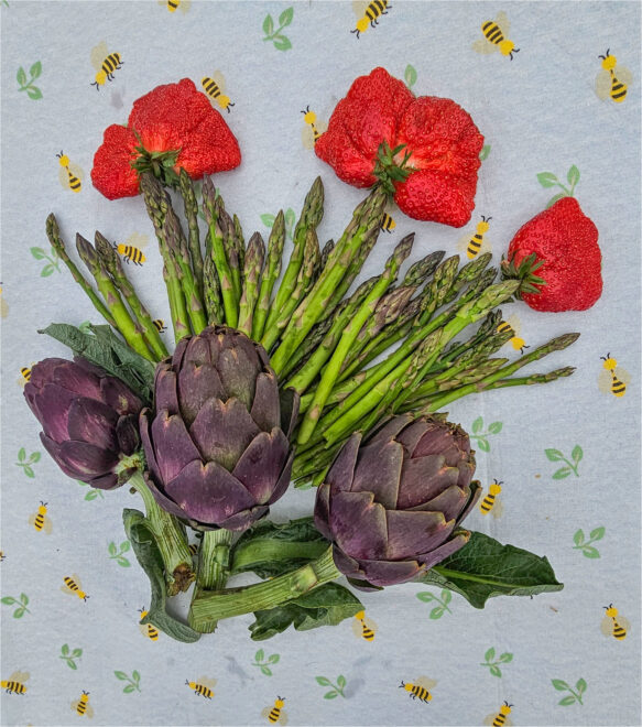 Printemps … mais sans fleur !