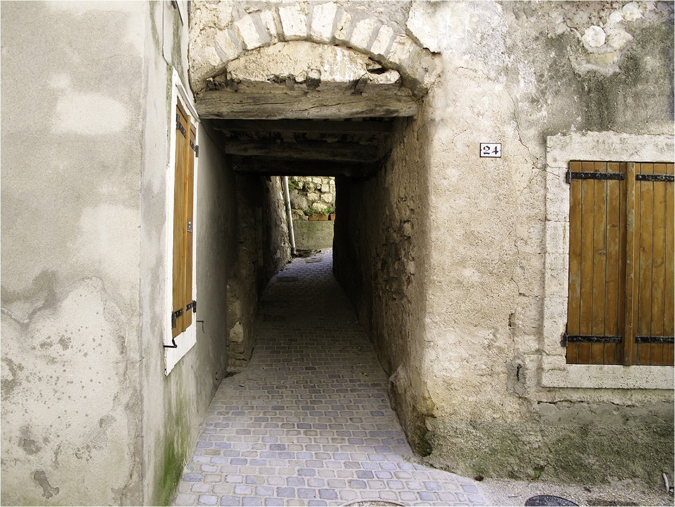 1516 CDV6 Passage 16