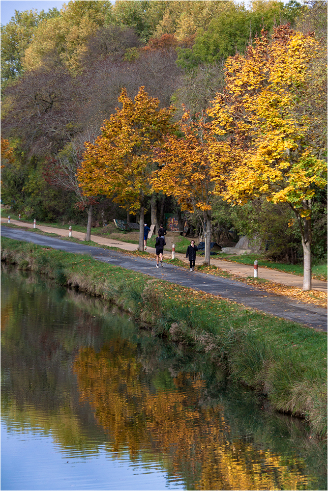1516 Sortie CanalMidi 32