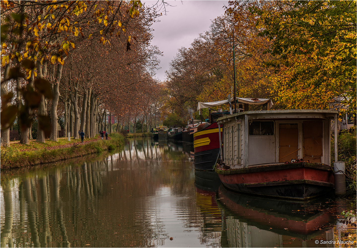 1516 Sortie CanalMidi 33