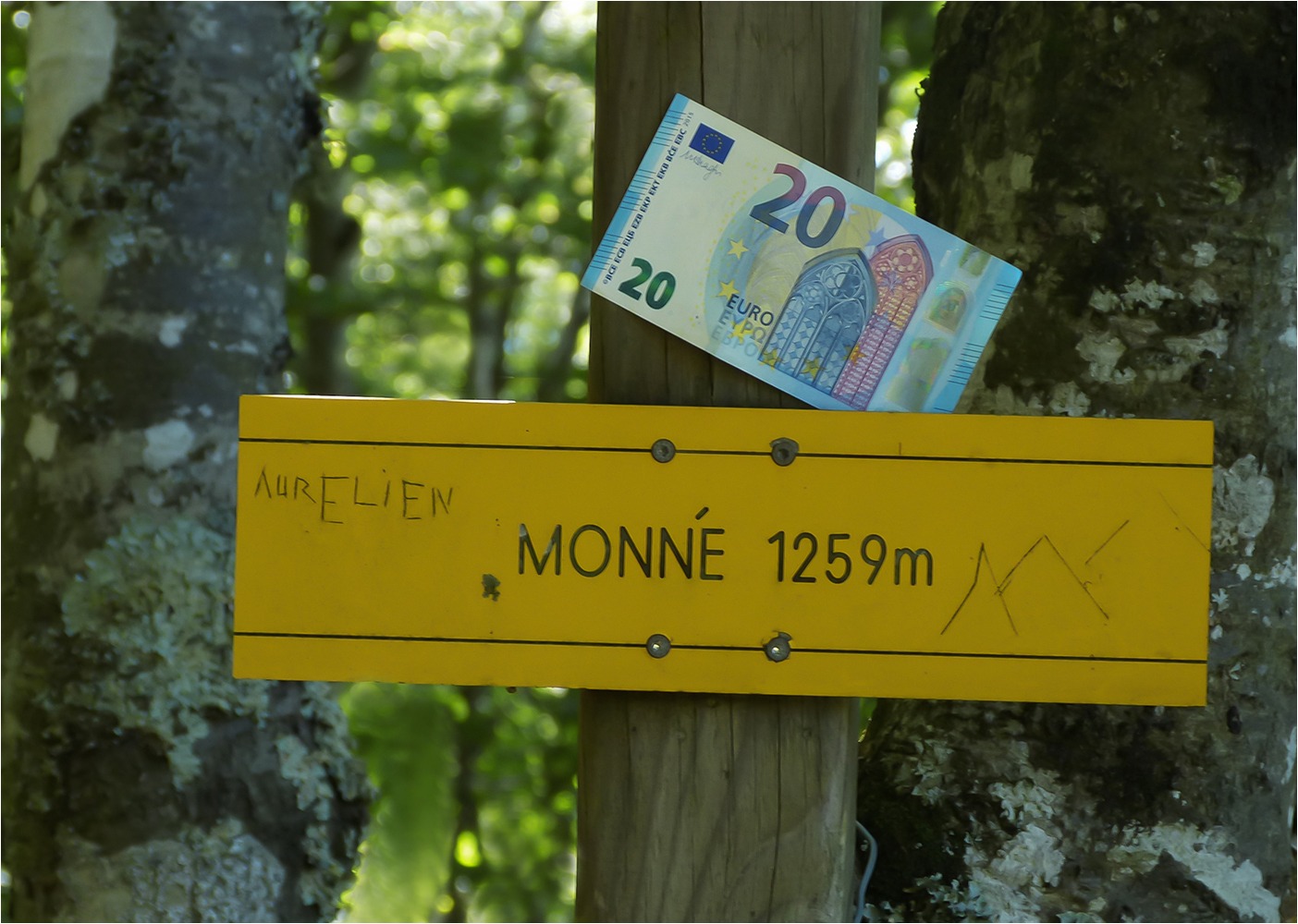 1617 CDV7 Monnaie 7