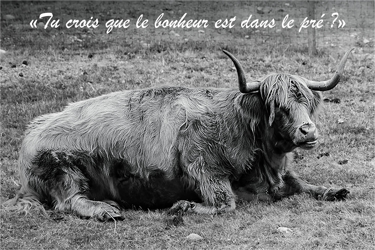 2223 Moche3 5