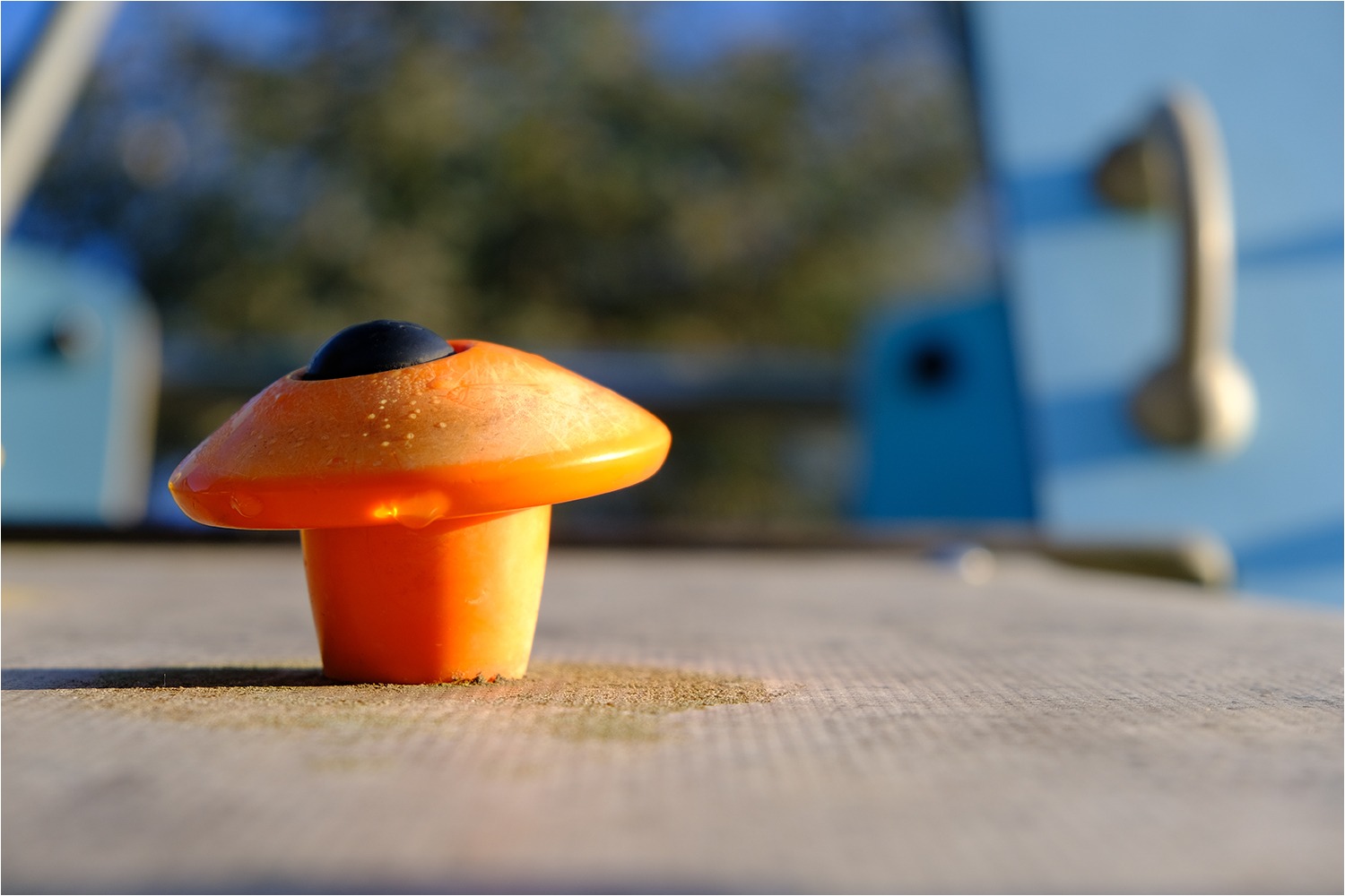 2526 Rallye Orange 22