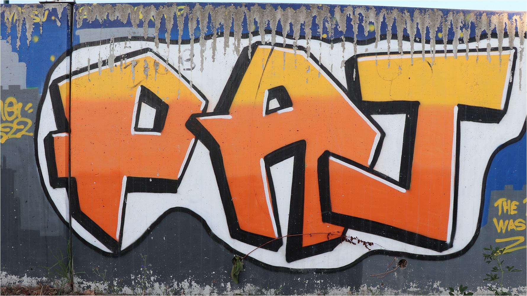 2526 Rallye Orange 25