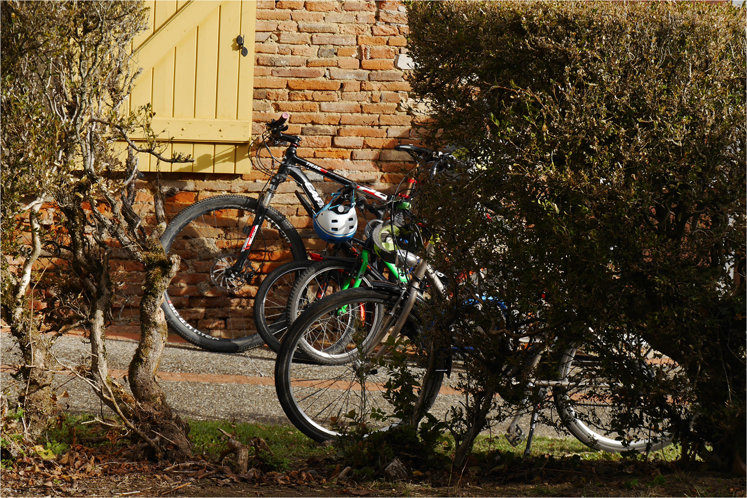 2223 Rallye Velo 19