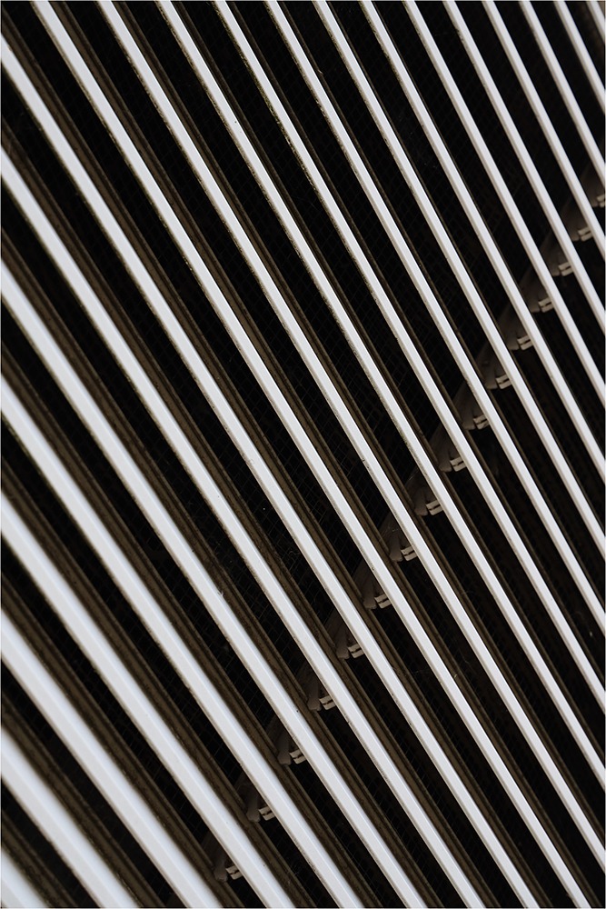 2425 Rallye Grille 8